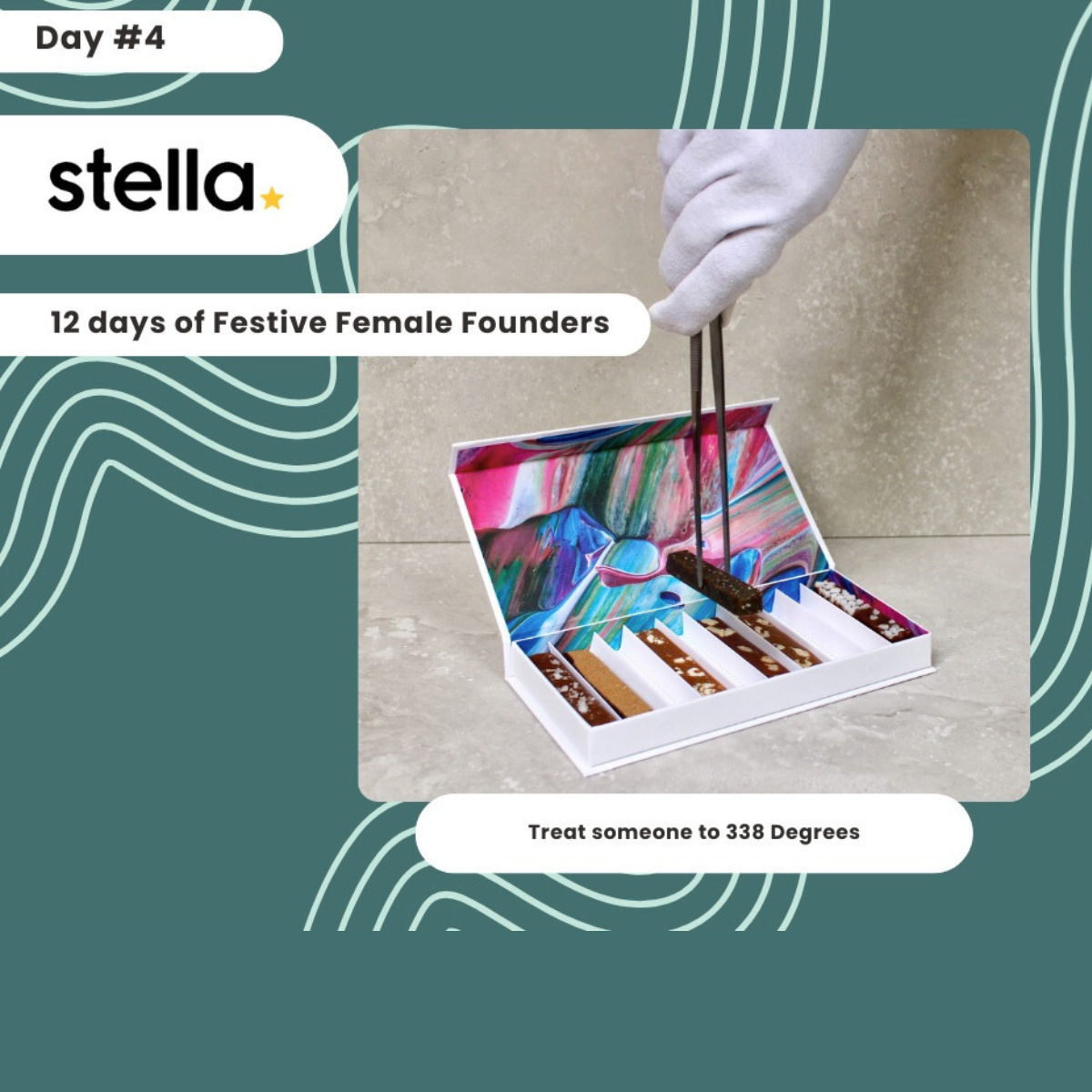 Stella Insurance